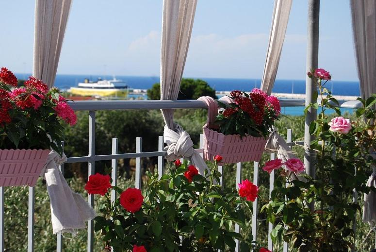 Killini Cottage Studio The Small Cyclades Kastro-Kyllini Exterior foto